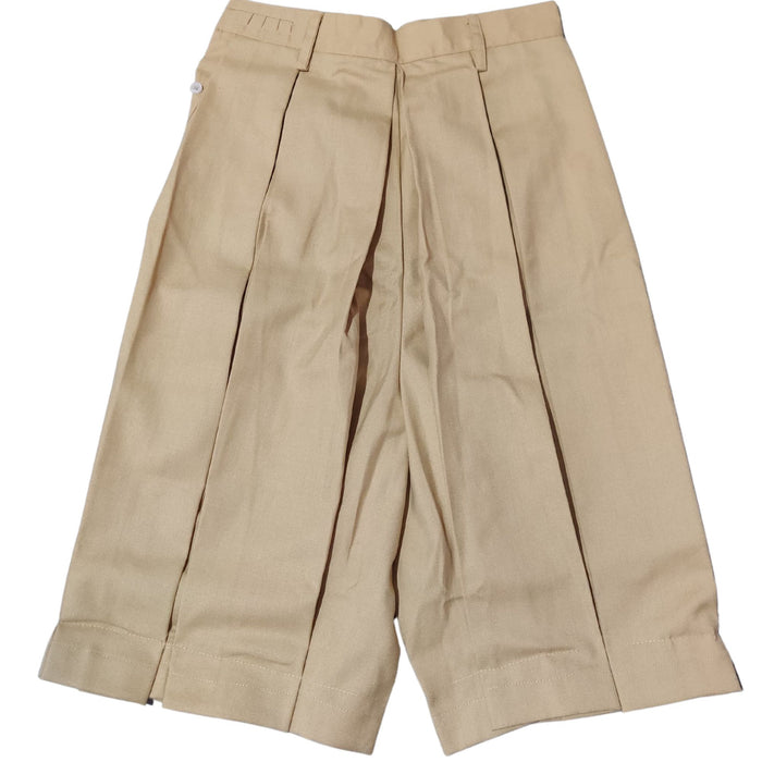 ANPS Girls Beige Skirt Custom (6th Std - 10th Std)