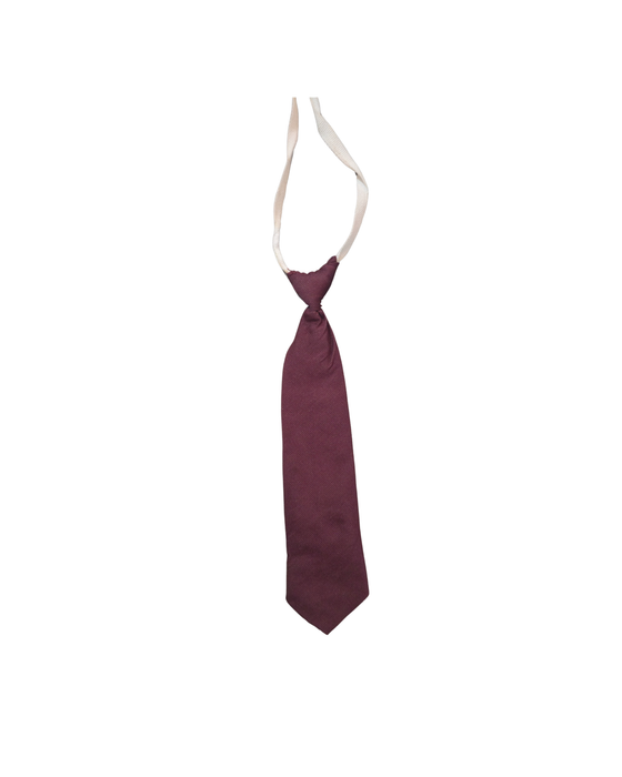 SPS Unisex Tie (1st Std - 10th Std)