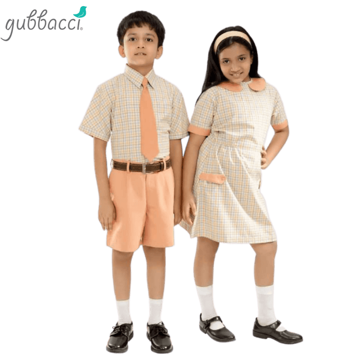 Primary School Uniform Manufacturer - Style 6